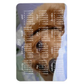 Golden Retriever Calendar 2017 Großes Foto Magnet (Vertikal)