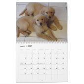 Golden Retriever Calendar 2023 Kalender (Mär 2027)