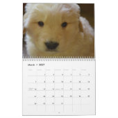 Golden Retriever Calendar 2026 Kalender (Mär 2027)