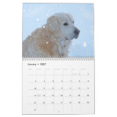 Golden Retriever Calendar 2026 Kalender (Jan 2027)
