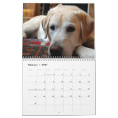 Golden Retriever Calendar 2026 Kalender (Feb 2027)