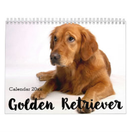 Golden Retriever Calendar 2026 Kalender