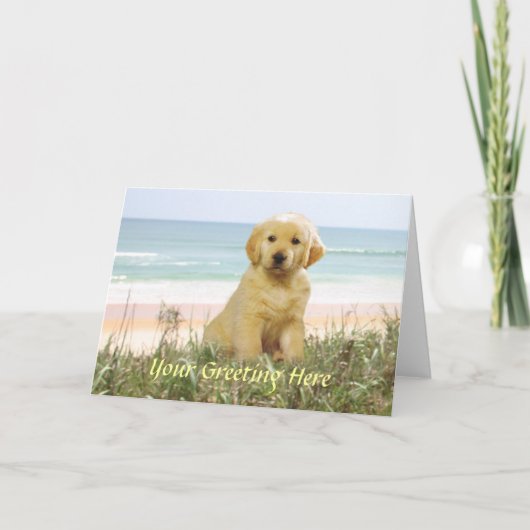 Golden Retriever Card Karte (Vorderseite)