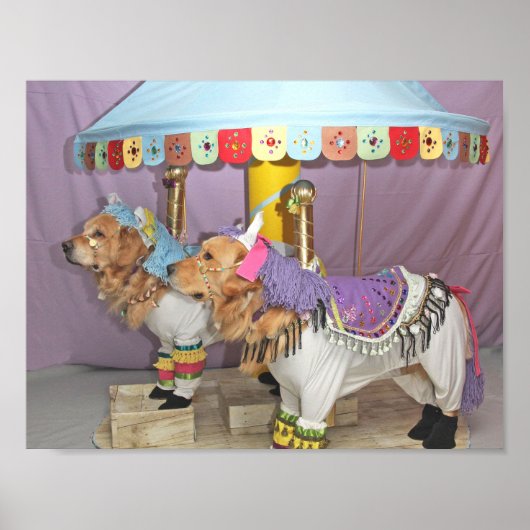 Golden Retriever Carousel Poster (Vorne)