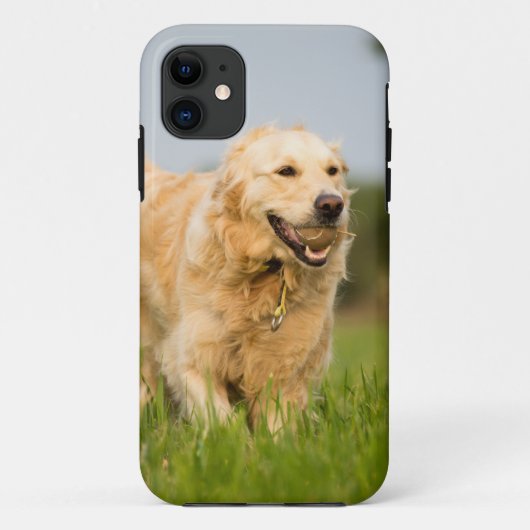 Golden Retriever Case-Mate iPhone Hülle (Rückseite)