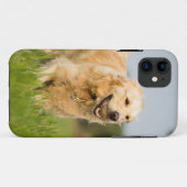 Golden Retriever Case-Mate iPhone Hülle (Rückseite (Horizontal))