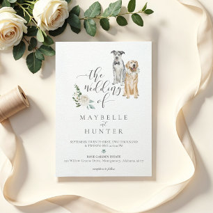 Golden Retriever & Catahoula Leopard Einladung