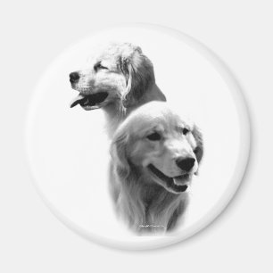 Golden Retriever Charcoal 2 - Magnet