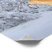 Golden Retriever Danny Boy Print Poster (Ecke)