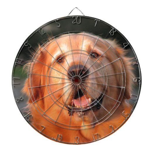 Golden Retriever Dartscheibe (vorne)