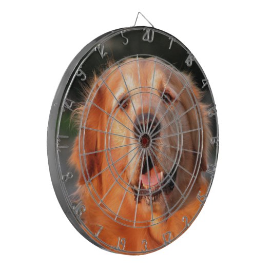 Golden Retriever Dartscheibe (Vorderseite Links)