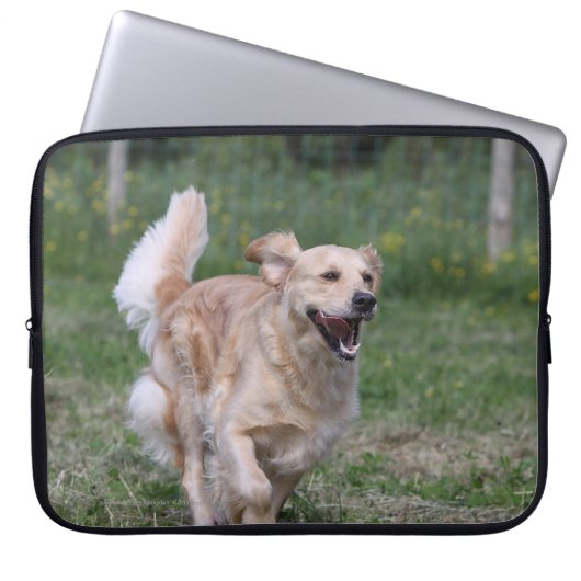 Golden retriever, das 1 laufen lässt laptopschutzhülle (Vorderseite)