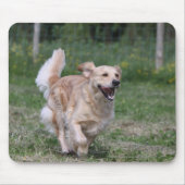 Golden retriever, das 1 laufen lässt mousepad (Vorne)
