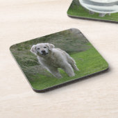 Golden retriever, das 2 laufen lässt getränkeuntersetzer (Linke Seite)