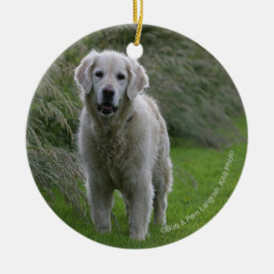 Golden retriever, das 2 laufen lässt keramikornament
