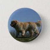 Golden retriever, das 3 laufen lässt button (Vorderseite)