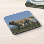 Golden retriever, das 3 laufen lässt getränkeuntersetzer (Linke Seite)