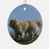 Golden retriever, das 3 laufen lässt keramikornament (Links)