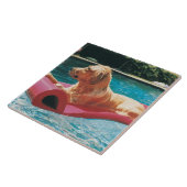 Golden retriever, das auf einem Luft-Bett in a Fliese (Seite)