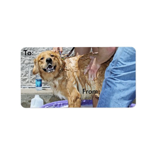 Golden Retriever - Das der Spot! Adressaufkleber (Vorne)