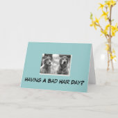 Golden retriever, das eine schlechte karte (Gelbe Blume)