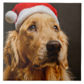 Golden retriever, das für sein Weihnachten Fliese (Vorderseite)