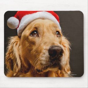 Golden retriever, das für sein Weihnachten Mousepad