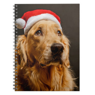 Golden retriever, das für sein Weihnachten Notizblock
