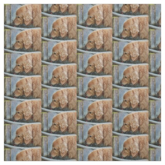 golden retriever, das herein von einer Rückseite Stoff (Muster)