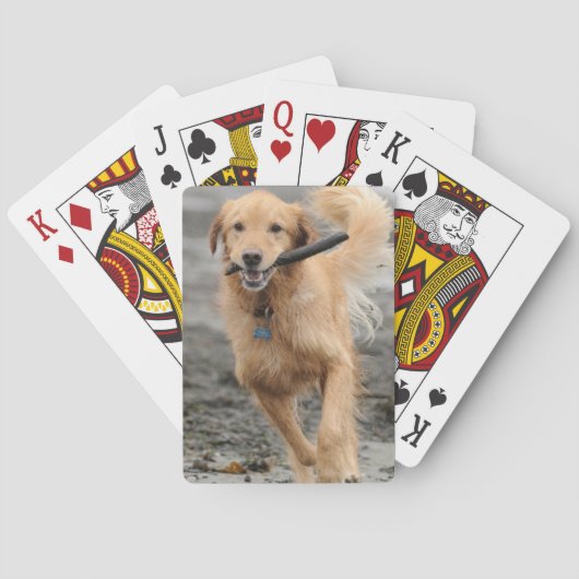 Golden retriever, das mit Stock im Mund läuft Spielkarten (Rückseite)