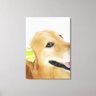 Golden retriever, das Musik hört Leinwanddruck
