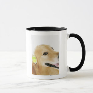 Golden retriever, das Musik hört Tasse