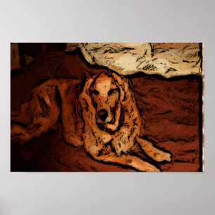 Golden retriever, das Plakat malt