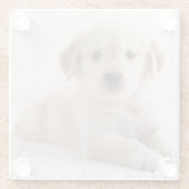 Golden retriever, das sich hinlegt glasuntersetzer (Rückseite)