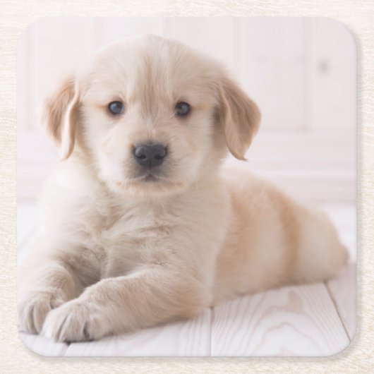 Golden retriever, das sich hinlegt rechteckiger pappuntersetzer (Vorderseite)