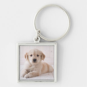 Golden retriever, das sich hinlegt schlüsselanhänger
