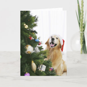 Golden retriever, das Weihnachtsbaum aufpasst Feiertagskarte