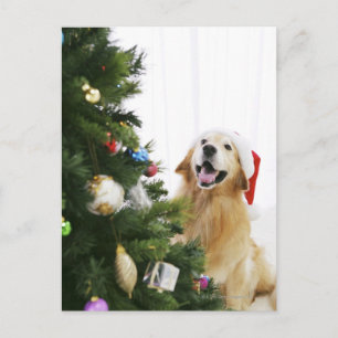 Golden retriever, das Weihnachtsbaum aufpasst Feiertagspostkarte