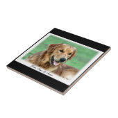 Golden Retriever Days of Summer Fliese (Seite)