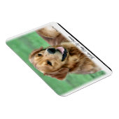 Golden Retriever Days of Summer Magnet (Rechte Seite)