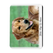 Golden Retriever Days of Summer Magnet (Vertikal)