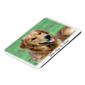 Golden Retriever Days of Summer Magnet (Linke Seite)