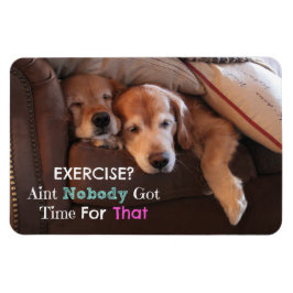 Golden Retriever Demotivation Magnet