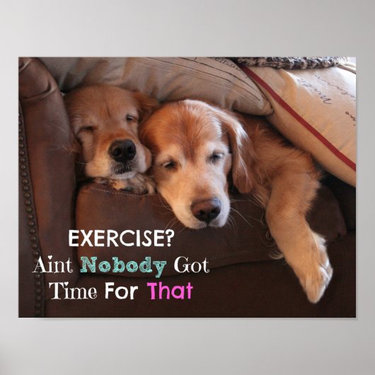 Golden Retriever Demotivation Poster (Vorne)