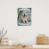 Golden Retriever, den ich lesen würde, würde eher  Poster (Küche)