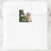 Golden Retriever, der Weihnachtsbaum beobachtet Quadratischer Aufkleber (Tasche)