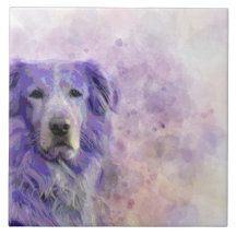 Golden retriever des Hund140