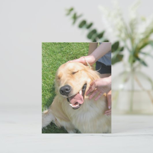 Golden Retriever, die Sie getan haben, Glückwunsch Postkarte (Stehend Vorderseite)