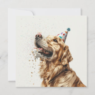 Golden Retriever Dog