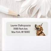 Golden Retriever Dog (Insitu)